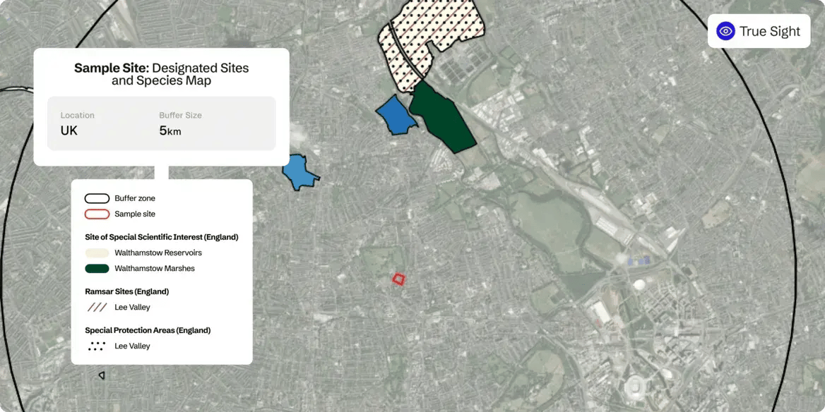 screenshot of Gentian True Sight